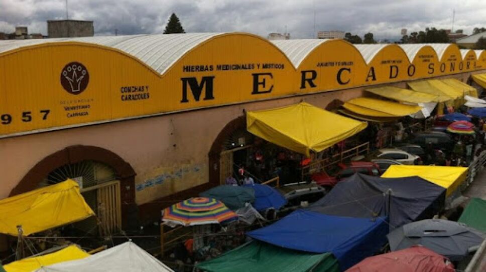 Lanzan petición para prohibir venta de animales en Mercado de Sonora