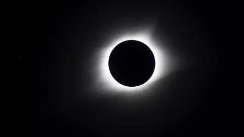 ¡Te necesitan! Así puedes trabajar con la NASA durante el eclipse solar en México