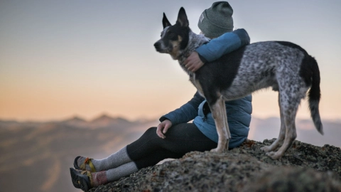 espana mascotas miembros de la familia
