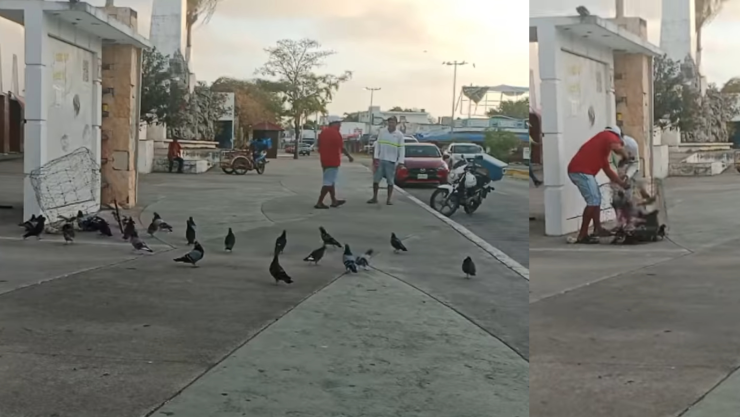 VIDEO_ Captan a dos atrapando palomas con trampas en mercado de Chetumal.jpg