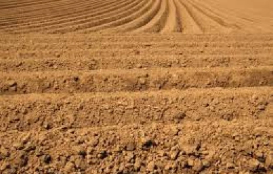 Cambio climático