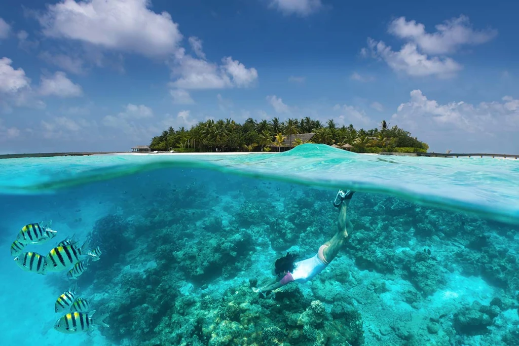Isla Rivas Las 10 islas que debes visitar este 2025