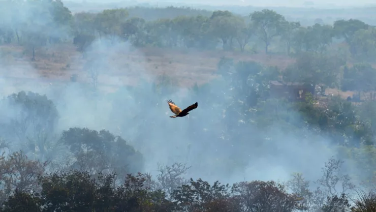 contaminación por incendios amazonas