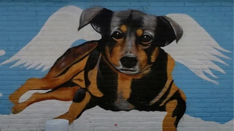 Mural en honor a Scooby