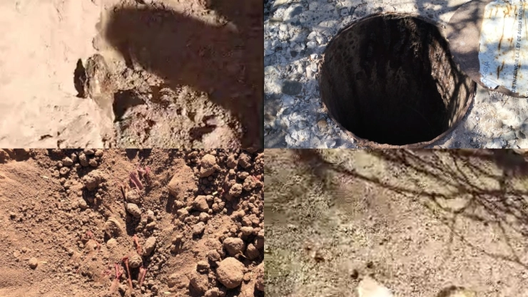 Fosas clandestinas en Sonora Madres buscadoras localizan cuerpos