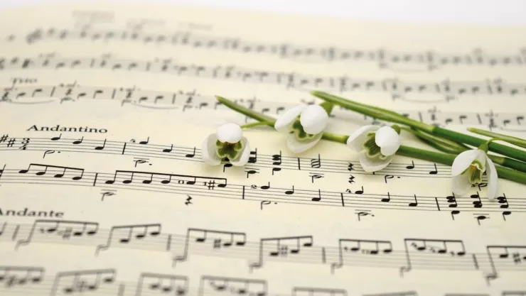 El tipo de música que escuchan las personas inteligentes