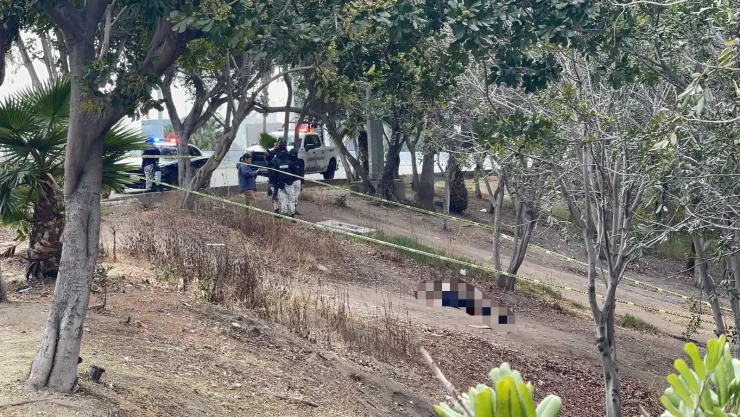 Encuentran hombre muerto cerca de la garita de San Ysidro