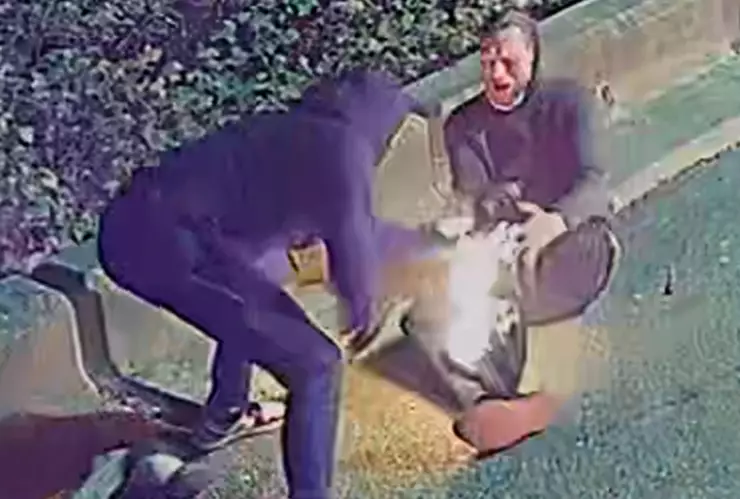 hombre-se-prende-fuego-provocar-incendio-en-canadá-lo busca-policía-video