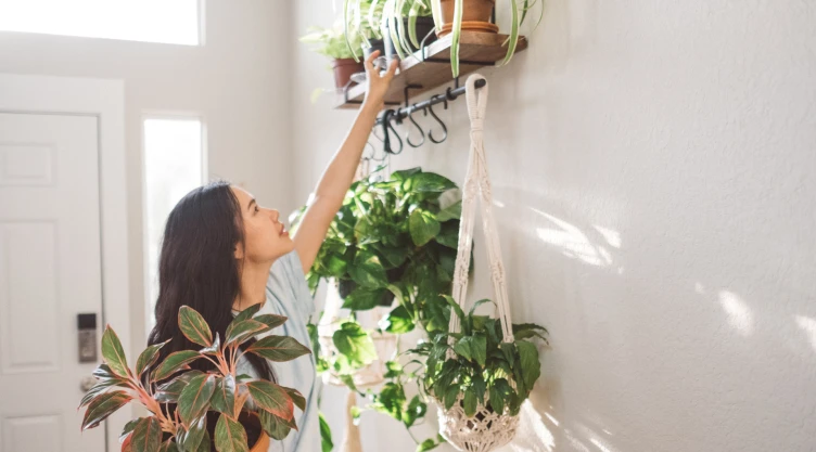 plantas casa