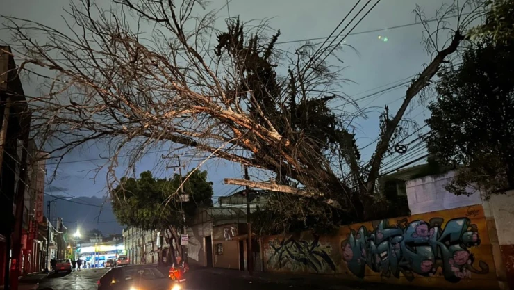 ¡Alerta en CDMX por fuertes vientos y lluvia! Emiten recomendaciones por intenso aire