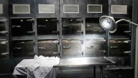 estudiante-de-medicina-cuerpo-amigo