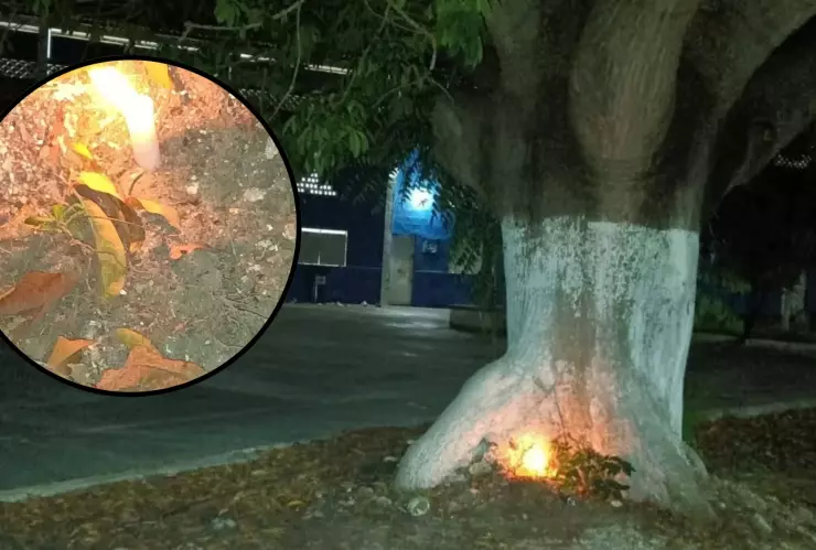 ¿Brujería? Realizan EXTRAÑO HALLAZGO a los pies de un árbol de ceiba en Motul y alerta a los vecinos