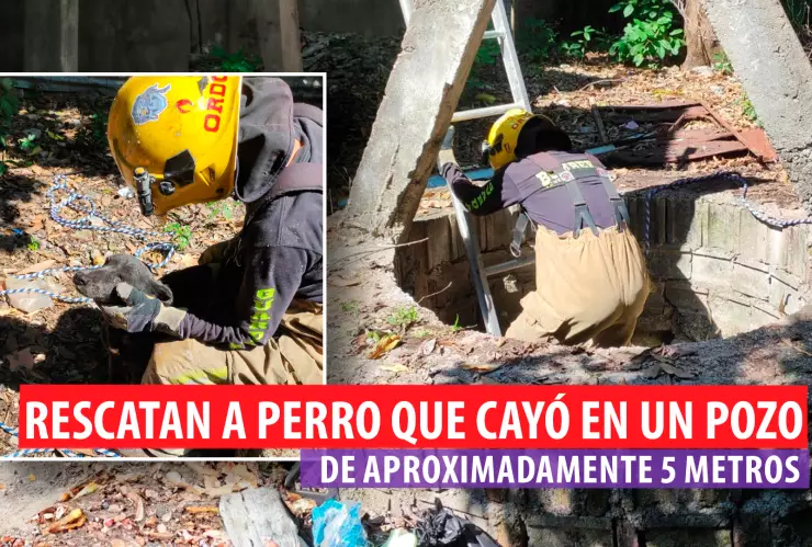 Perrito cayó en un pozo Tuxtla