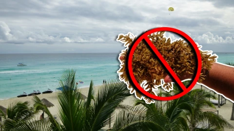 Playas sin sargazo en Quintana Roo HOY 30 de septiembre de 2025_ De Holbox, Cancún, Tulum hasta Xcalak.jpg