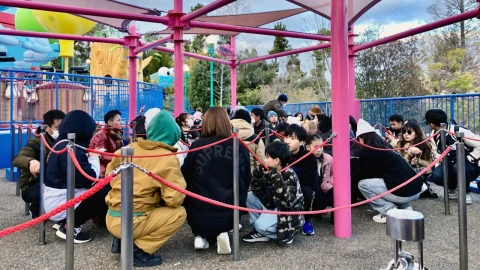 sismo-terremoto-japon-hoy-2-enero-2024