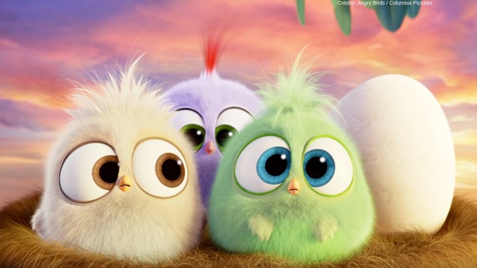 Angry birds