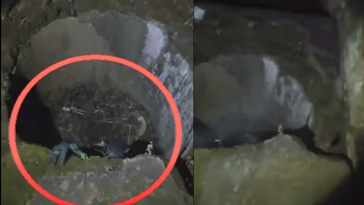 Video viral capta al diablo