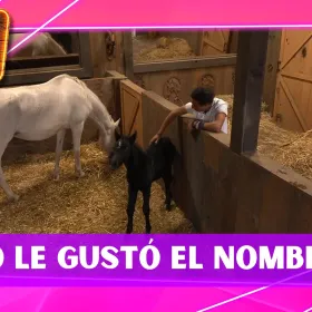 ¿No le gustó el nombre? Kevyn “Bicolor” confiesa cómo quería llamar al potrillo de La Granja VIP