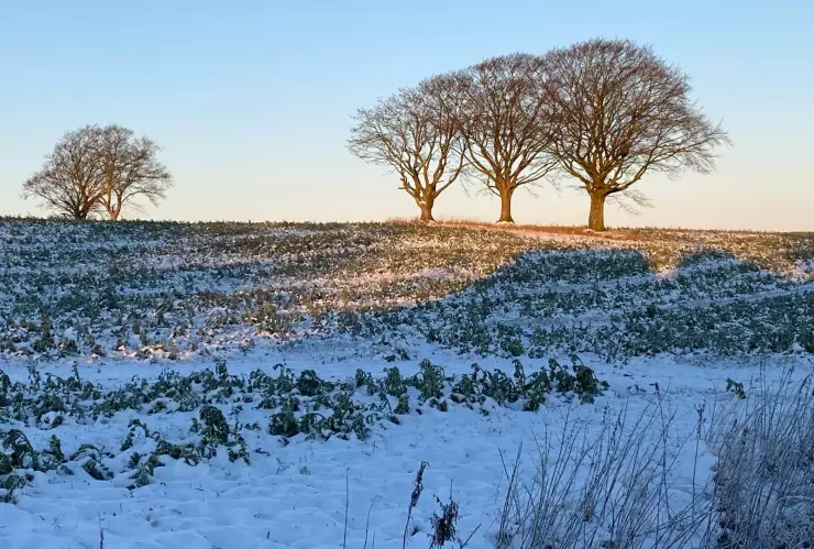 ¿Cuánto durará el frente frío 27 en Aguascalientes Las temperaturas mínimas que se pronostican en el estado