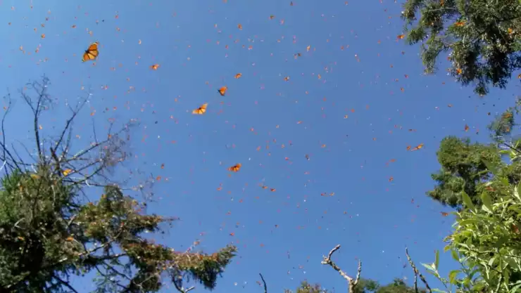 WhatsApp Image 2019-11-28 at 2.03.10 PM.jpeg