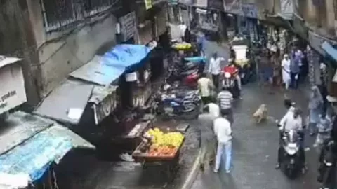 dueño-admite-perro-se-soltó-y-mató-niña-tras-caída-desde-quinto-piso-india-perro