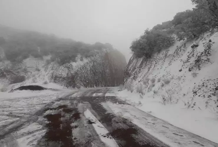 nieve-chihuahua-carretera