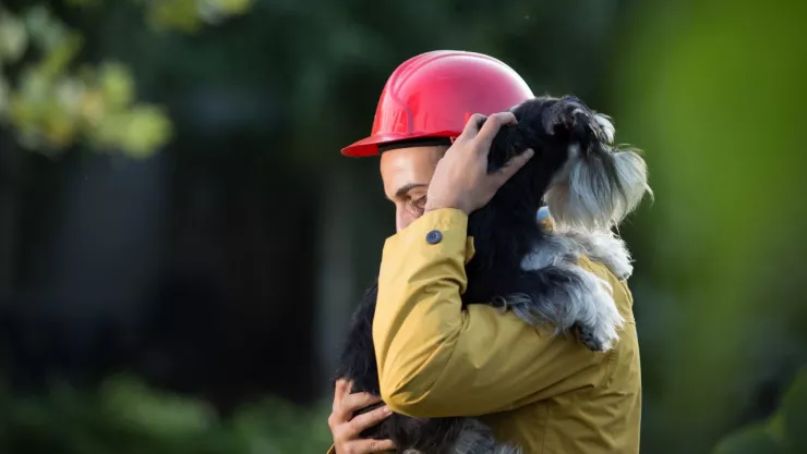 Simulacro Nacional 2024: ¿Qué puedo hacer con mi mascota en caso de terremoto?