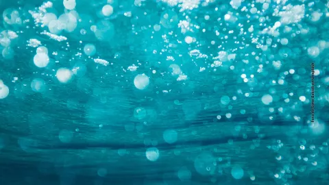 Este es el significado de soñar con agua, un mar o un lago