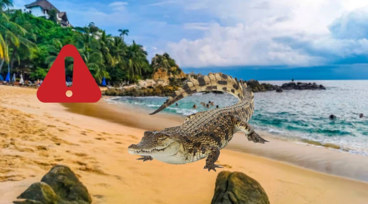 Las 2 playas de Oaxaca donde es más probable que te salgan cocodrilos