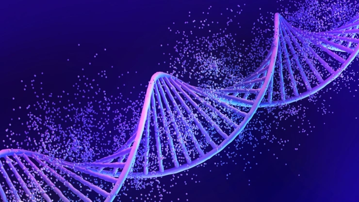 Este químico tiene las propiedades para dañar el ADN, según Harvard