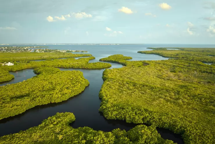 Fotografía de los Everglades, en Florida.