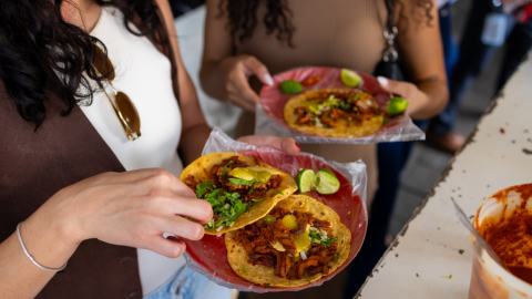 cisticercosis y neurocisticercosis