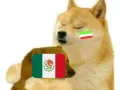 12. Memes Mexico Brasil.jpg