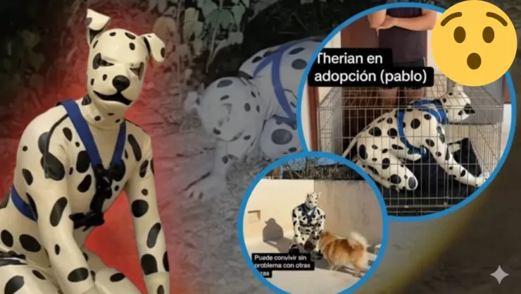 ¿Adoptarías a un therian? Conoce la historia de Pablo, un hombre que vive como dálmata; busca ser adoptado en México