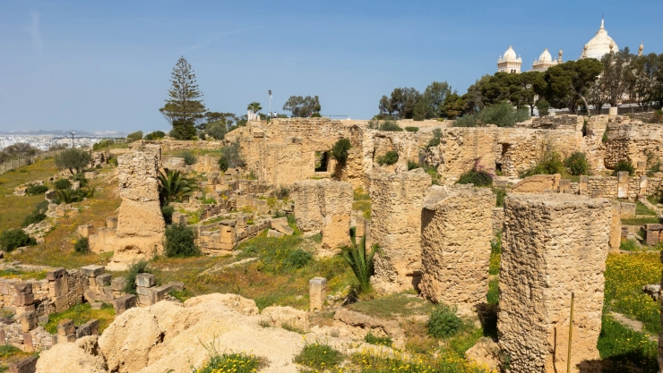 Ruinas de un antiguo pueblo en Missouri en la montaña, con su vegetación y el pueblo nuevo de fondo