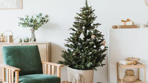 Árbol minimalista escandinavo: Una Navidad serena y elegante con ramas y luces cálidas