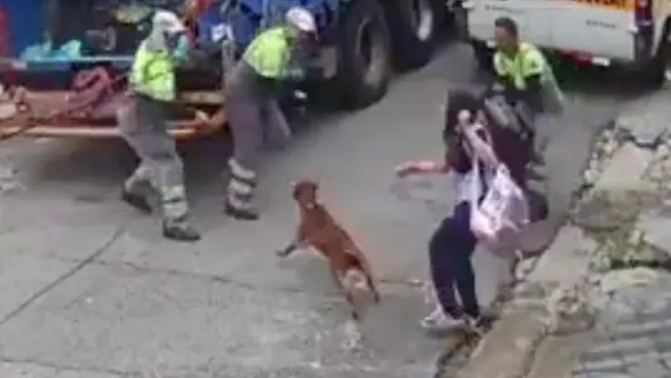 Video muestra agresión de pitbull contra trabajadores de limpieza en el sur de São Paulo