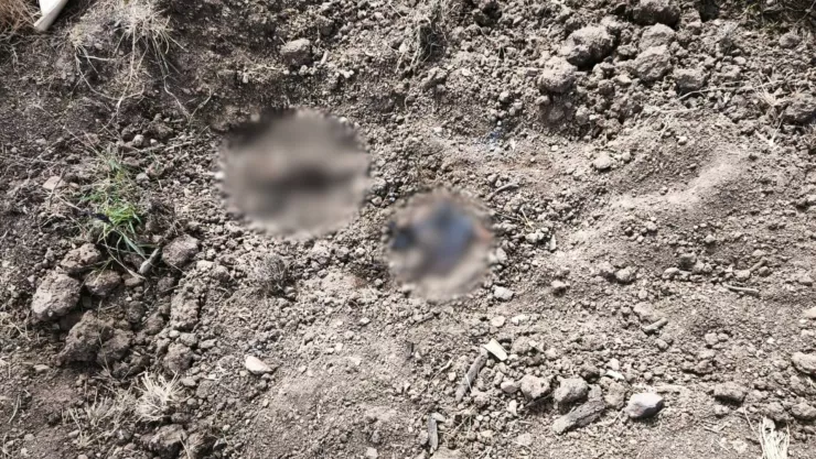 Restos humanos en El Alhuate