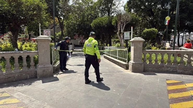 jardin cdmx