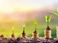 Dinero monedas plantas.jpg