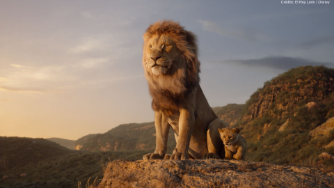 el rey león