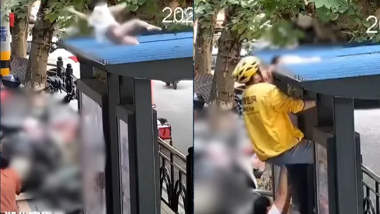 VIDEO: Así menor sobrevivió tras accidente desde sexto piso; repartidor lo rescató