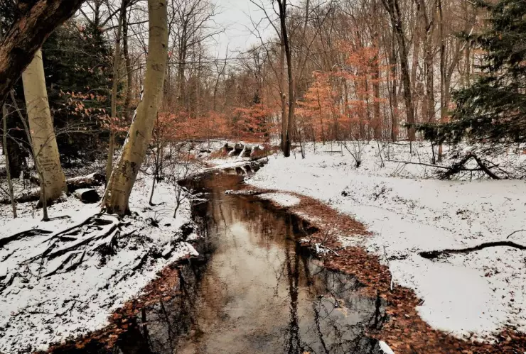Nevadas en Chihuahua