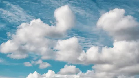 Pronóstico clima domingo 9 de febrero 2025 en Torreón, Gómez Palacio y Lerdo.