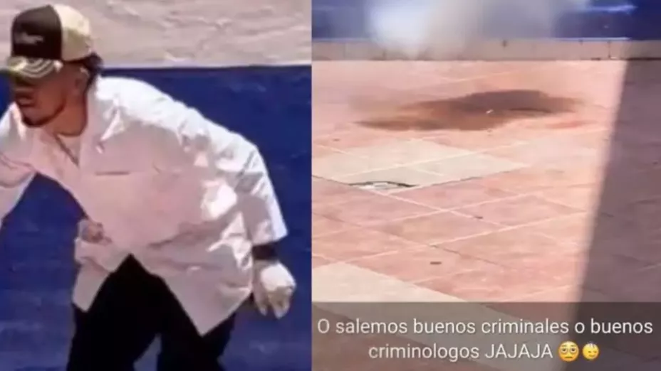 Le amarraron pirotecnia y lo hicieron explotar, así fue como estudiantes mataron a un gato en Guanajuato