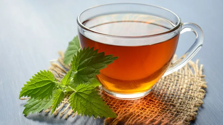 ¿Qué plantas curan la inflamación? Remedios naturales antiinflamatorios