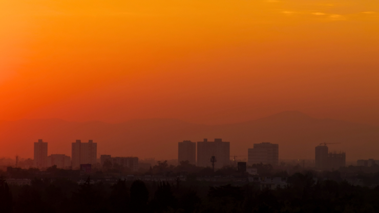 Can&iacute;cula 2025