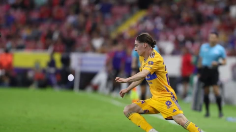 Marcelo Flores, Tigres