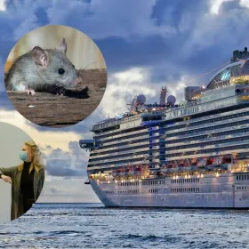 Fotos de crucero, de rata y de dos personas con cubrebocas.