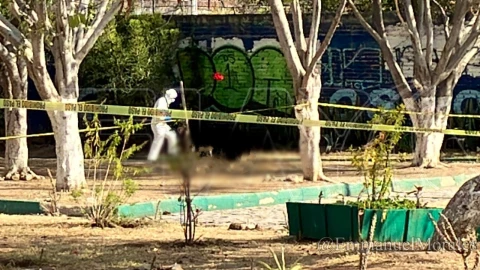 Asesinan a mujer en La Piscina